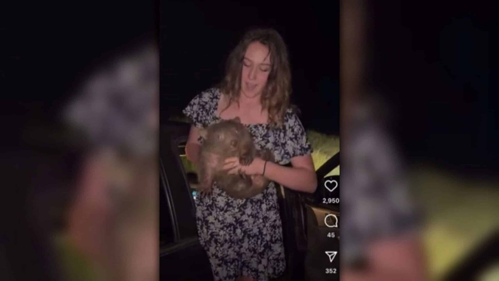 Influencer accused of taking a mother's wombat baby speaks