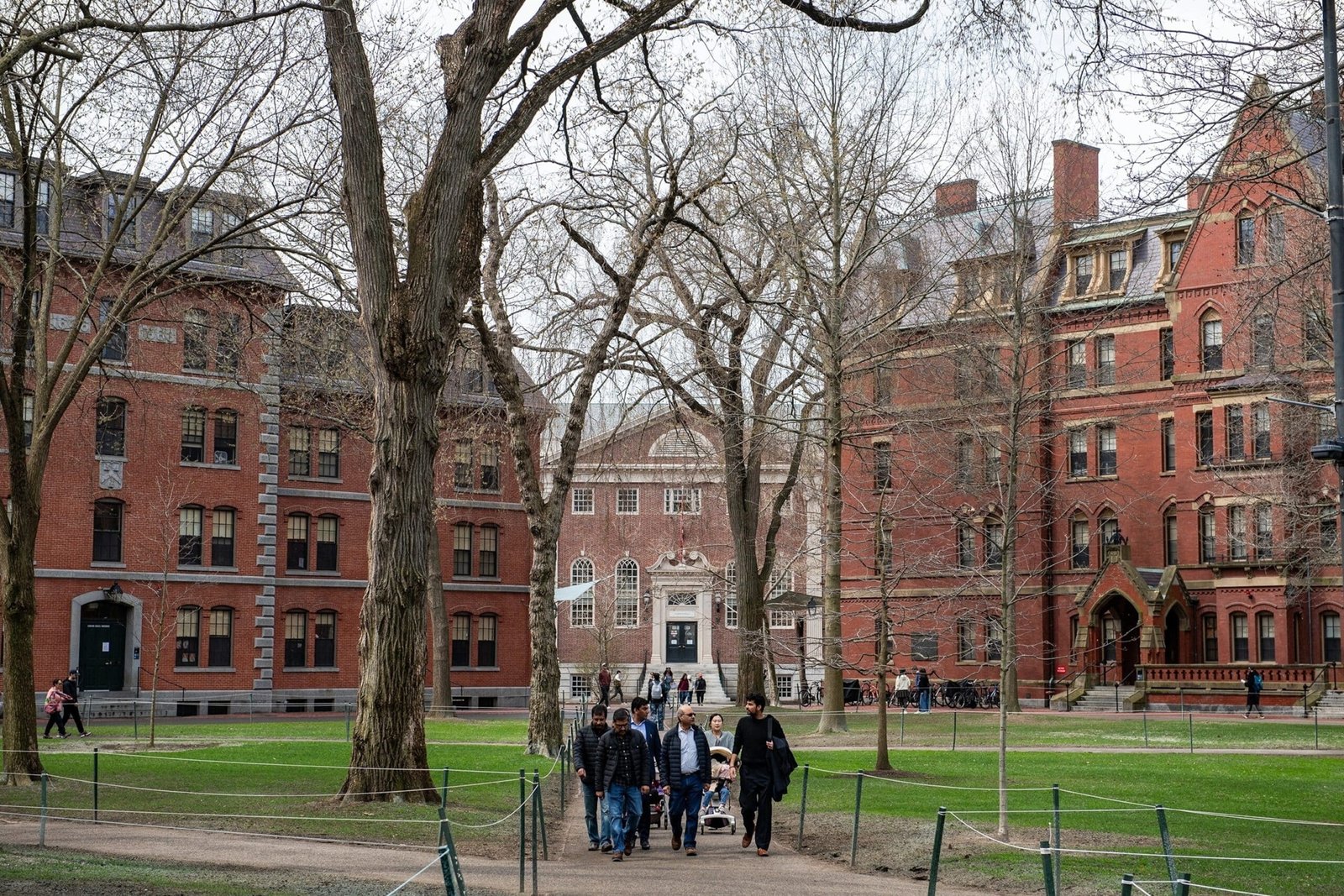 Trump says the administrator "will remove the state of exempt from Harvard tax"